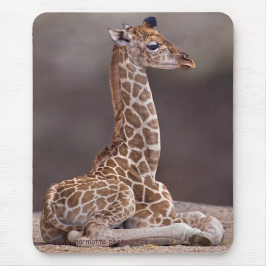 Baby-Giraffe Mousemat Mousepad (Vorne)