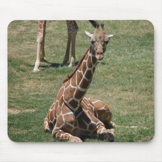 Baby-Giraffe Mousepad (Vorne)