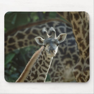 Baby Giraffe Mousepad