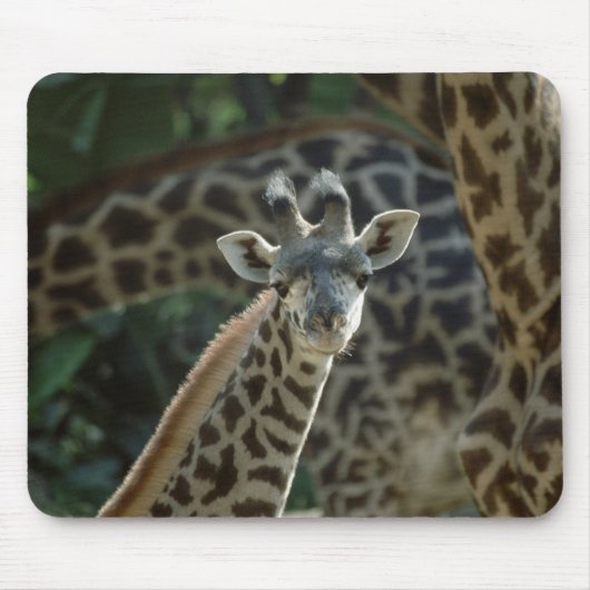 Baby Giraffe Mousepad (Vorne)