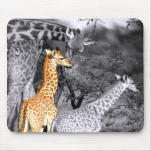 Baby Giraffe Mousepad