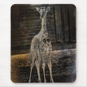 Baby Giraffe Mousepad (Vorne)