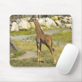 Baby Giraffe Mousepad (Mit Mouse)