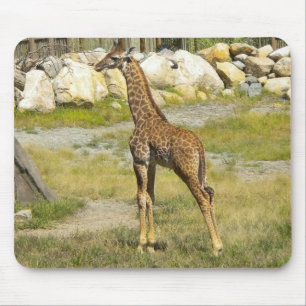 Baby Giraffe Mousepad