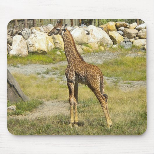 Baby Giraffe Mousepad (Vorne)