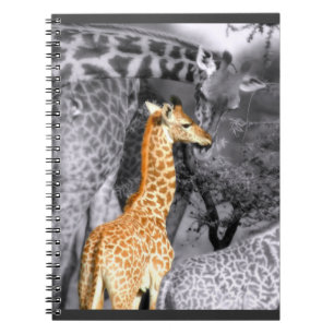 Baby Giraffe Notizblock