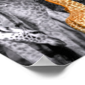 Baby Giraffe Poster (Ecke)