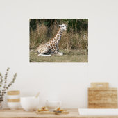 Baby Giraffe Poster (Küche)