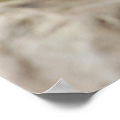 Baby Giraffe Poster (Ecke)