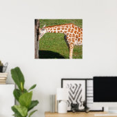 Baby Giraffe Poster (Heimbüro)