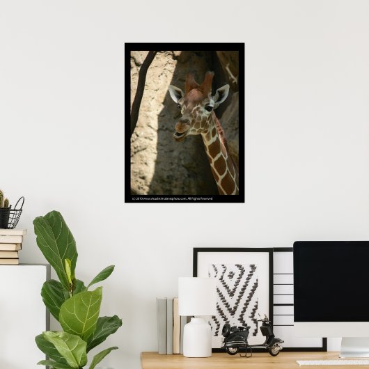Baby Giraffe Poster Prints (Heimbüro)