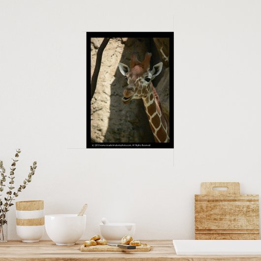 Baby Giraffe Poster Prints (Küche)
