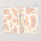 Baby Giraffe Postkarte (Rückseite)