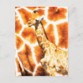Baby Giraffe Postkarte (Vorderseite)