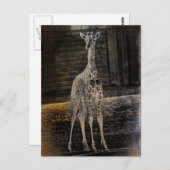 Baby Giraffe Postkarte (Vorne/Hinten)