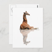 BABY GIRAFFE POSTKARTE (Vorne/Hinten)