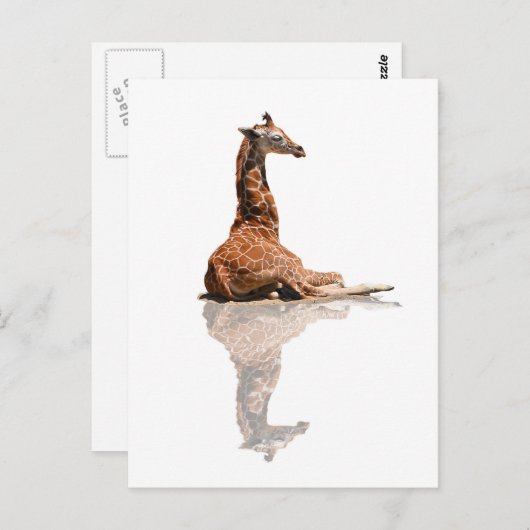 BABY GIRAFFE POSTKARTE (Vorne/Hinten)