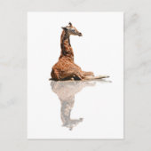 BABY GIRAFFE POSTKARTE (Vorderseite)