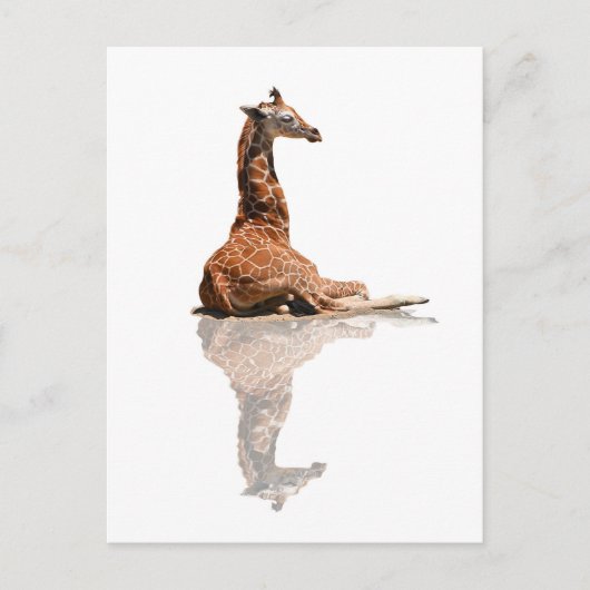 BABY GIRAFFE POSTKARTE (Vorderseite)