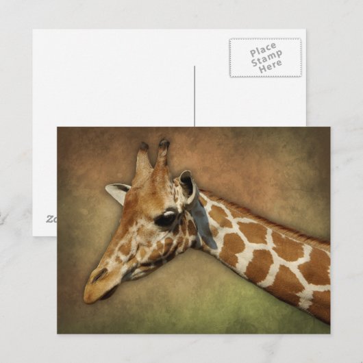 Baby Giraffe Postkarte (Vorne/Hinten)