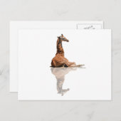 BABY GIRAFFE POSTKARTE (Vorne/Hinten)