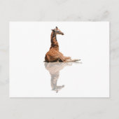 BABY GIRAFFE POSTKARTE (Vorderseite)