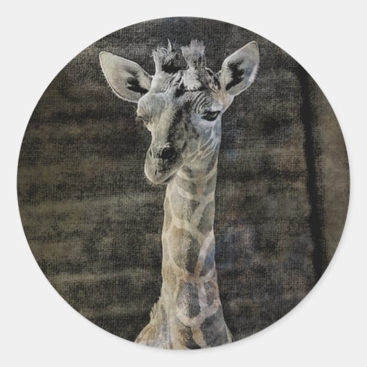 Baby Giraffe Runder Aufkleber (Vorderseite)