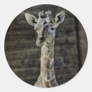 Baby Giraffe Runder Aufkleber