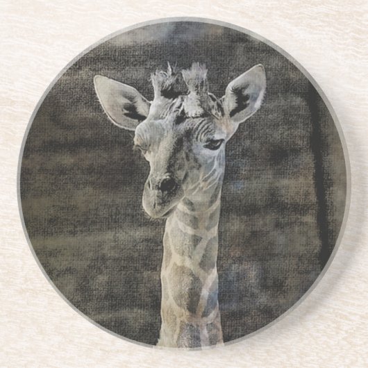 Baby Giraffe Sandstein Untersetzer (Vorne)