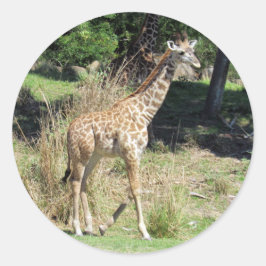 Baby Giraffe Stickers