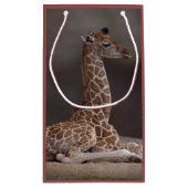 Baby-Giraffen-Geschenk-Tasche Kleine Geschenktüte (Rückseite)