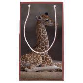 Baby-Giraffen-Geschenk-Tasche Kleine Geschenktüte (Vorderseite)