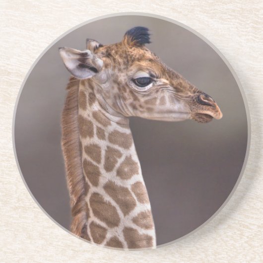 Baby-Giraffen-Untersetzer Getränkeuntersetzer (Vorne)