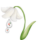 Baby Girl 1sr Geburtstagskarte