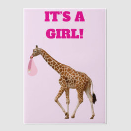 Baby Girl Birth Announcement Vellum Overlay Pergament Einladungen