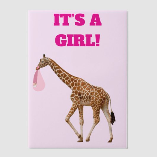 Baby Girl Birth Announcement Vellum Overlay Pergament Einladungen (Vorderseite)