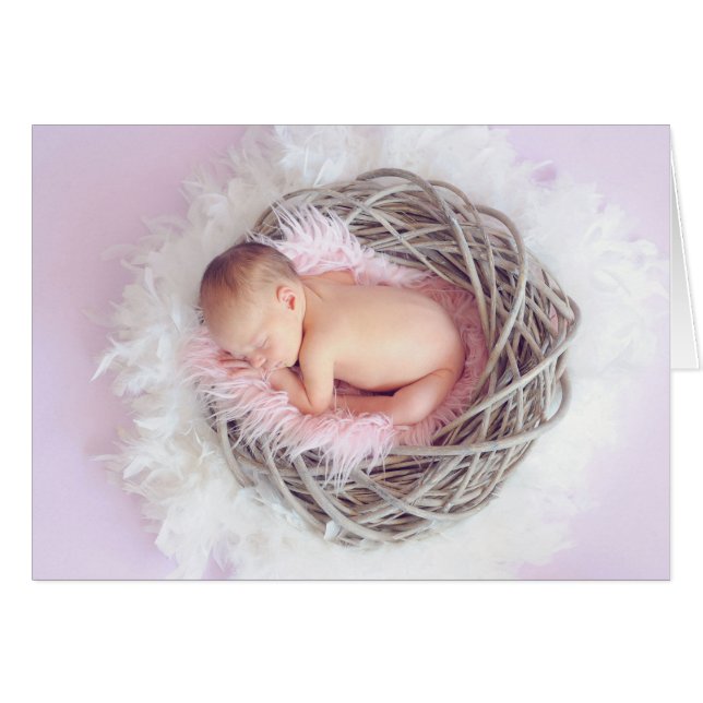 Baby Girl in ihrem Nest (Vorderseite (Horizontal))