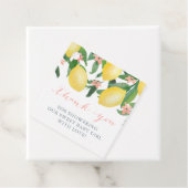 Baby Girl Lemons Babydusche Vielen Dank Geschenkanhänger (Beispiel)