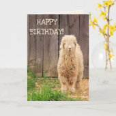 Baby Goat Birthday Karte (Gelbe Blume)