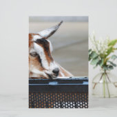 Baby Goat Briefpapier (Stehend Vorderseite)