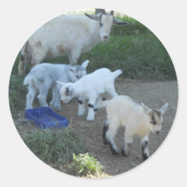 Baby Goat Family Runder Aufkleber