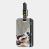 Baby Goat Gepäckanhänger (Vorderseite vertikal)