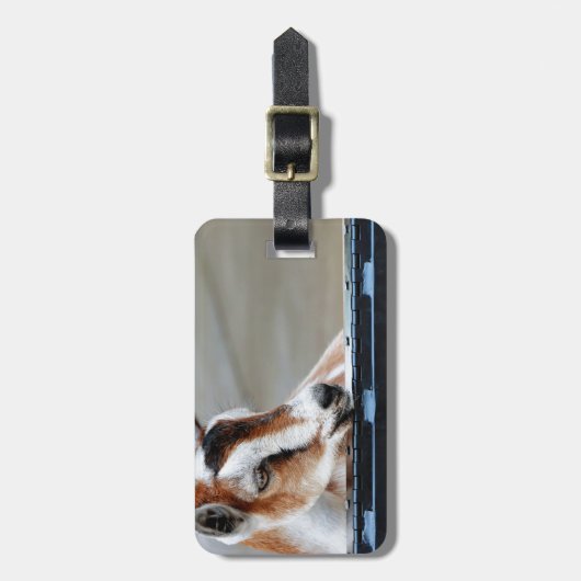 Baby Goat Gepäckanhänger (Vorderseite vertikal)