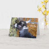 Baby Goat Hay Beileid Karte (Gelbe Blume)