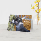 Baby Goat Hay Birthday Karte (Gelbe Blume)