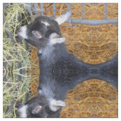 Baby Goat Hay Stoff (Nahaufnahme)