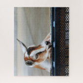 Baby Goat Jigsaw Puzzle (Vertikal)