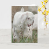 Baby Goat Karte (Gelbe Blume)