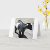 Baby Goat Karte (Gelbe Blume)