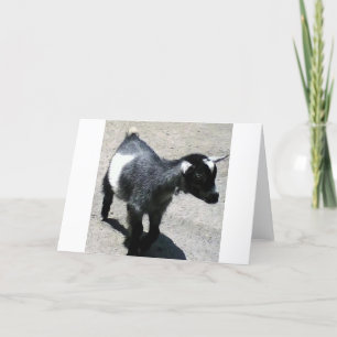 Baby Goat Karte